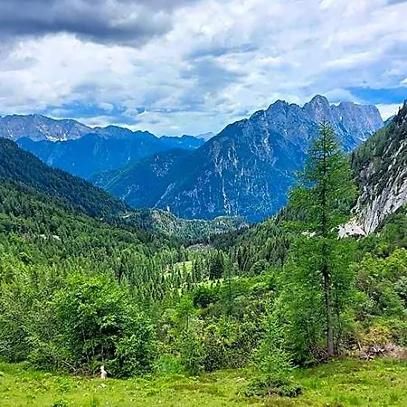 Ticarjev Dom At Vrsic Pass *